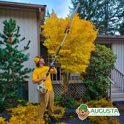 Augusta Lawn Care of NW Raleigh project photo