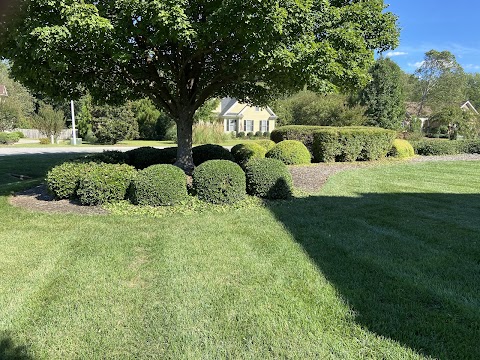 Green Dreams Landscaping project photo