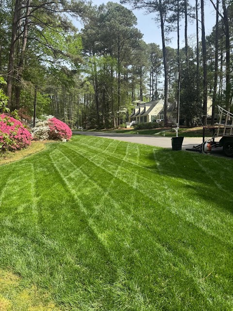 Green Dreams Landscaping project photo