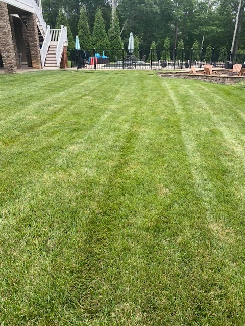 Miser Landscaping LLC project photo
