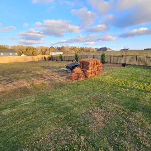 Dixie Landscaping & Turf Management project photo