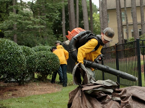 Pines Lawn Care project photo