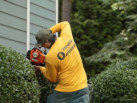 Pines Lawn Care project photo