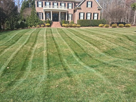 Pacheco Lawn Maintenance project photo