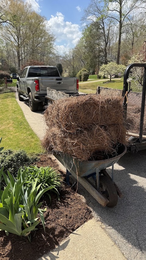 Pacheco Lawn Maintenance project photo