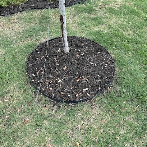 LawnStarter - Clayton Landscaping project photo