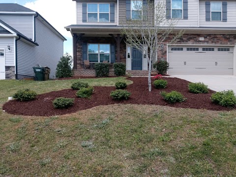 Thomas Family Landscaping project photo