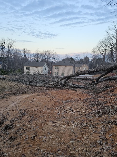 Benitez Landscaping & Tree Services LLC project photo
