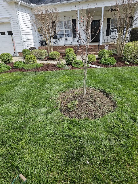Benitez Landscaping & Tree Services LLC project photo