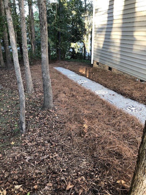 Sequoia Landscaping project photo