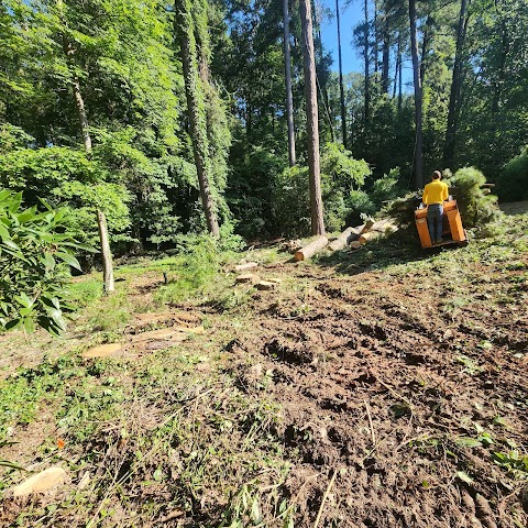 MB Tree Service & Landscaping project photo