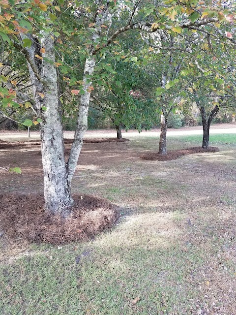 Anders Landscaping LLC project photo