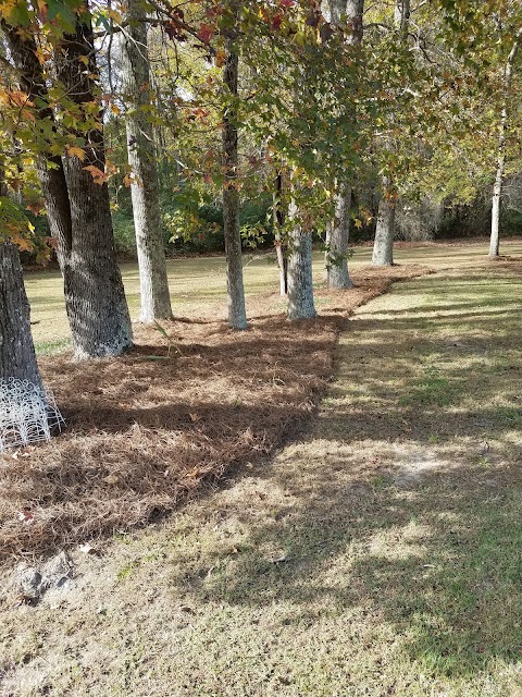 Anders Landscaping LLC project photo