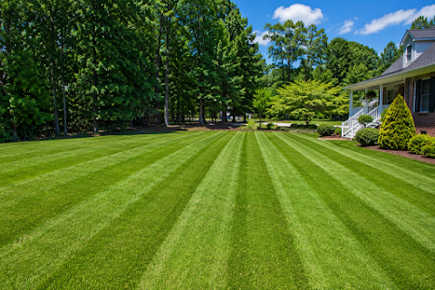 Parise Lawncare project photo
