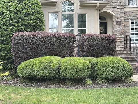 Parise Lawncare project photo
