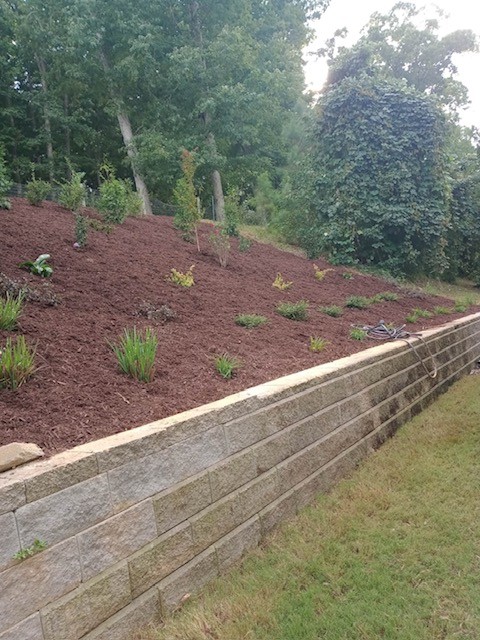 KEEN Attention To Detail!!! project photo