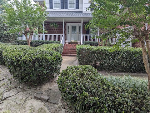 J & D Lawn Service project photo