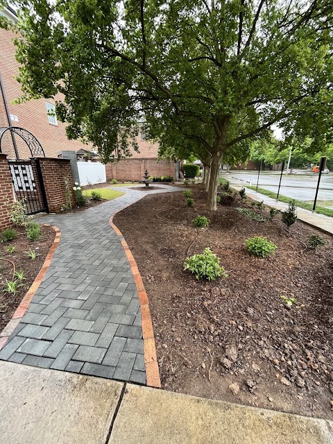 GrassMaster of Wake County project photo