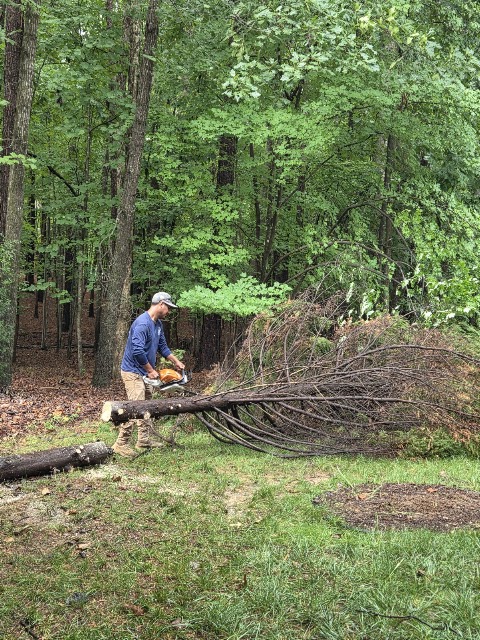 M&H Landscaping & Tree Services LLC project photo