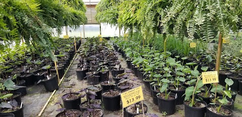 Broadwell's Nursery project photo