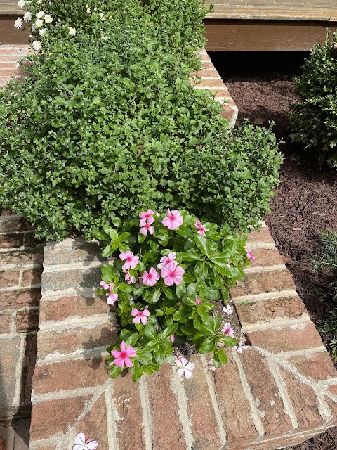 Home & Garden Landscapes project photo
