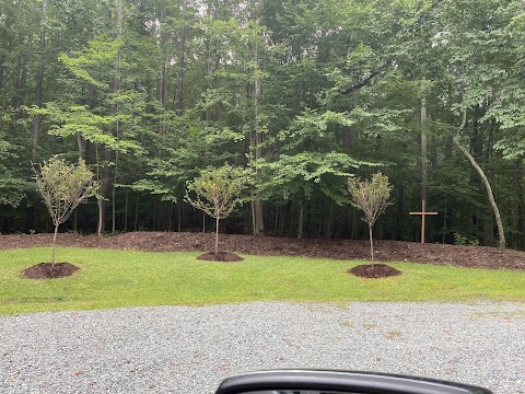 Home & Garden Landscapes project photo