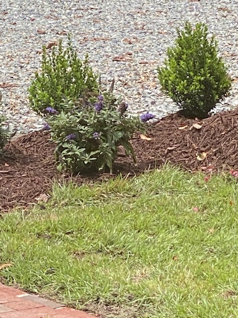 Home & Garden Landscapes project photo