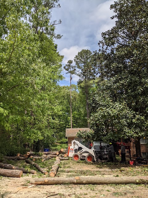 Guzman Tree Service project photo