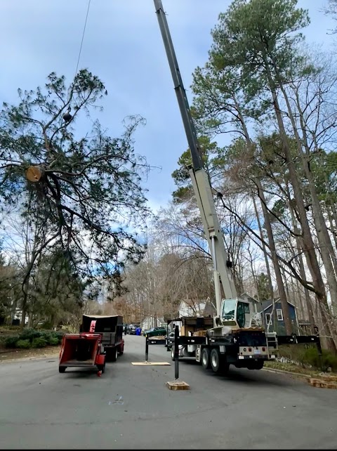 Guzman Tree Service project photo