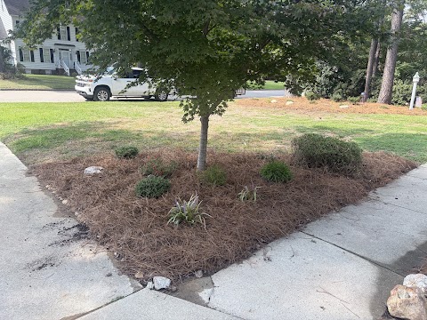 NC Lawn Stars LLC project photo