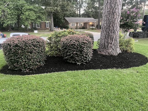 NC Lawn Stars LLC project photo