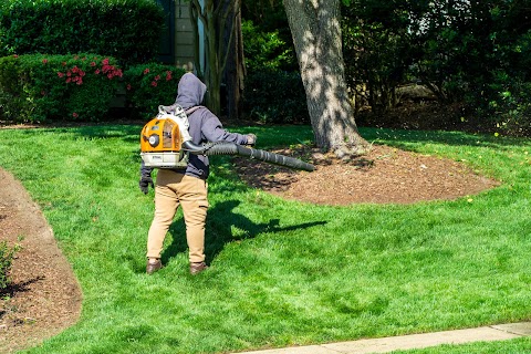 Lawn & Order Landscaping project photo