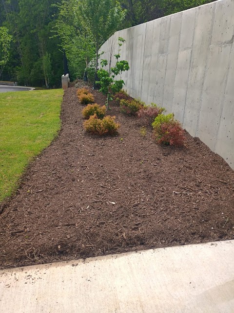 Morales Landscaping Services LLC project photo