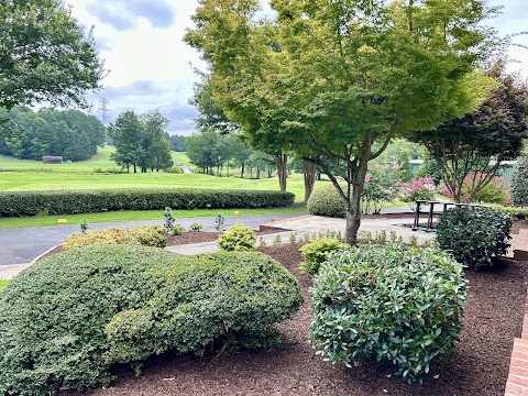 Soto's Creations Landscaping LLC project photo