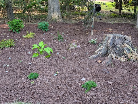 Carolina Garden Co project photo