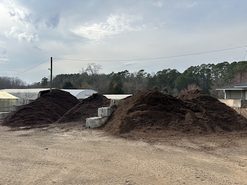 Nazo Landscaping Inc project photo
