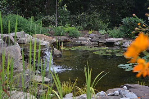 Kiefer Landscaping Inc project photo