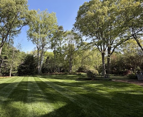 Edison Landscaping project photo