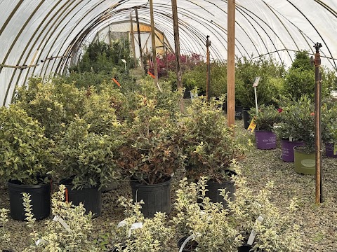 Red Mill Landscaping & Nursery project photo