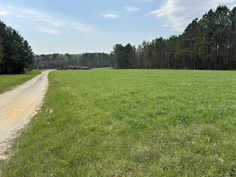 Red Mill Landscaping & Nursery project photo