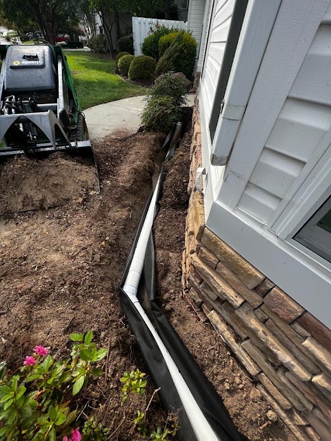 Vert Life LLC project photo