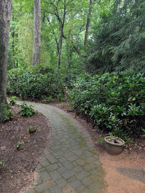 Wood Brothers Landscaping project photo
