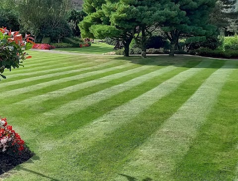 Envision Landscaping project photo
