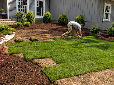 Landscape Logic Of North Carolina project photo