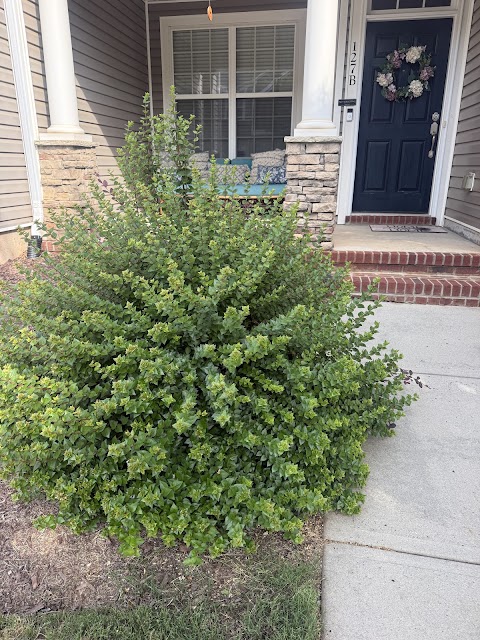 Bland Landscaping Co. project photo