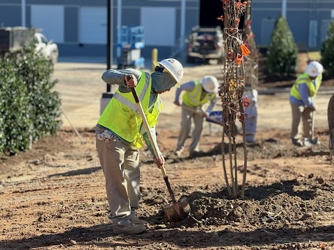 Bland Landscaping Co. project photo
