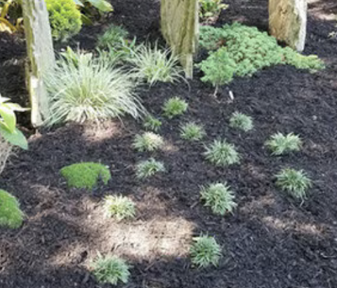 Triangle Landscape Supplies, Apex project photo