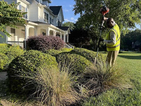 Nature First Landscaping project photo
