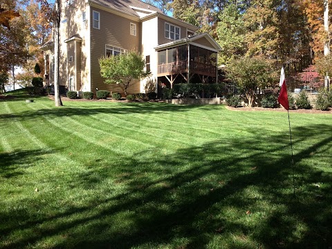 Nature First Landscaping project photo