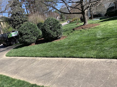 Natural green landscaping LLC project photo